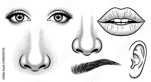 Detailed black and white sketch of human facial features.