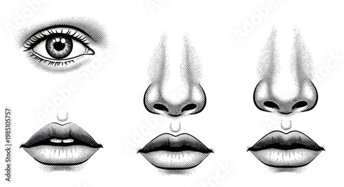 Detailed Black and White Sketch of Human Facial Features.