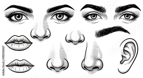 Detailed Hand-Drawn Human Facial Features Collection.