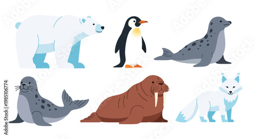 Arctic Animals Collection: Polar Bear, Penguin, Seal, Walrus, Fox Illustration
