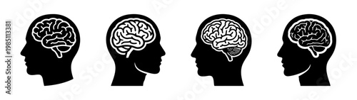 Human brain anatomy illustration showing mental health and neurological function and intelligence process