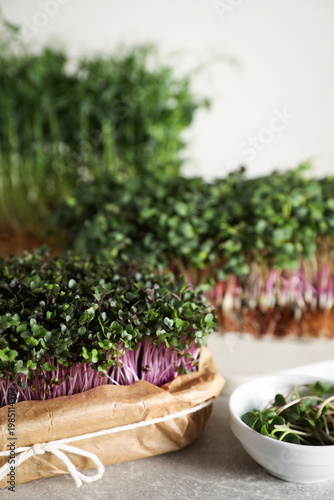 Different types of microgreens on grey table, closeup