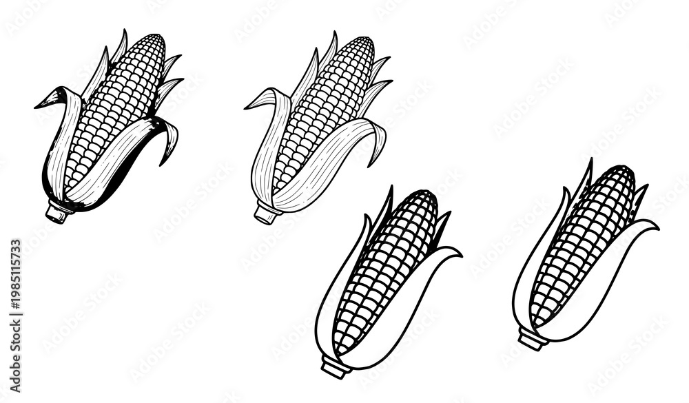 Obraz premium A set of four black and white corn illustrations in different line art styles