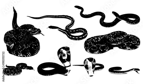 A black and white illustration of various snake silhouettes and designs