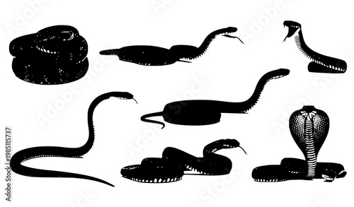 A set of black snake silhouettes on a white background