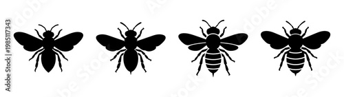 Vector silhouette of mantis insects collection, entomology illustration, insect icons and design elements