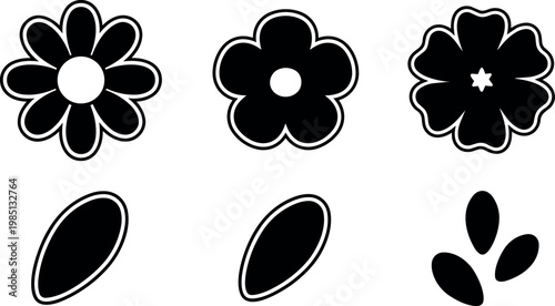 Black and white floral vector art with petals and leaves
