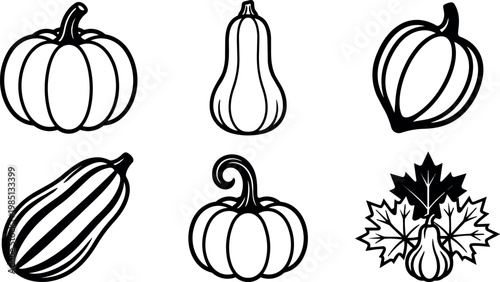 Black and white line art pumpkins and gourds with leaves autumn harvest