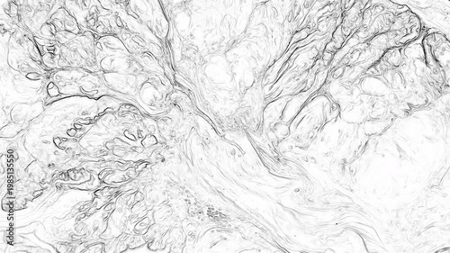 High-quality white marble fluid background with intricate grey swirls. Abstract monochrome liquid motion perfect for minimalist designs, clean artistic overlays, and modern digital backdrops.