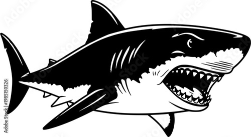 Angry wild great white shark vector illustration, marine predator animal element illustration, swimming toothy shark design template isolated on white background
 