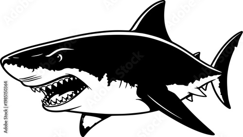 Angry wild great white shark vector illustration, marine predator animal element illustration, swimming toothy shark design template isolated on white background
 
