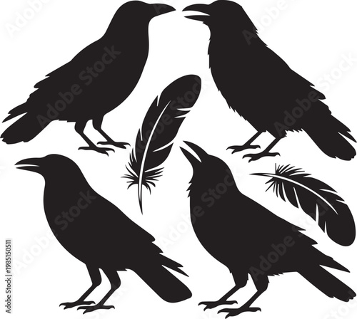 Three crows with feathers symbolizing unity and mystique in black and white