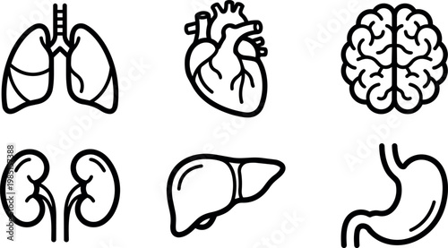 Black and white line art kidney liver heart brain lung and stomach icons