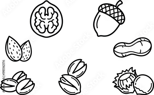 Assorted nuts including walnut almond acorn and peanut