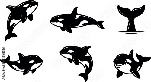Black and white orca whale silhouette collection with swimming poses and tail splash vector art