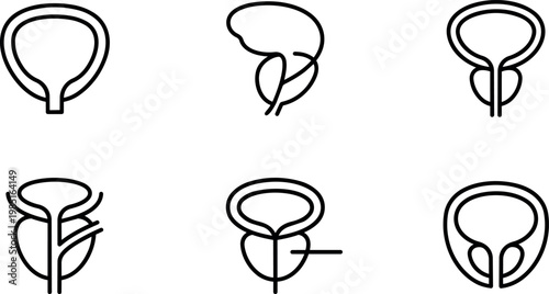 Black line art set of human bladder and prostate icons