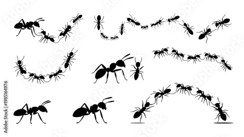 Ant Silhouette Icon Set Insect Colony Trail Black Vector Collection
