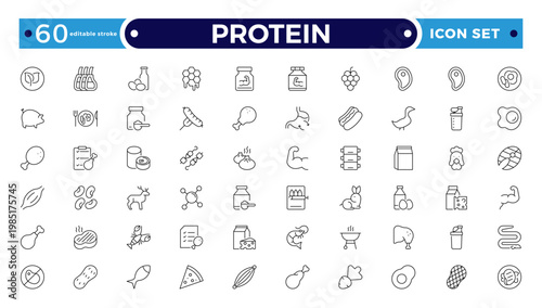 Protein icon collection. Nutrition and Healthy Food Outline Icon Set. A Professional Vector Set Featuring Balanced Diet Planning, Essential Nutrients, and Food Groups. Editable stroke outline icon.