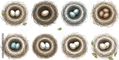 Bird nest vector set featuring golden eggs, teal eggs, and white eggs in diverse straw nests with leafy accents for finance and nature concepts.