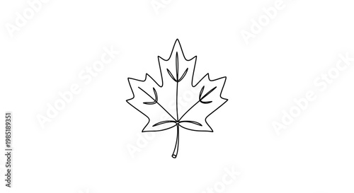Simple outline drawing of a maple leaf on a white background