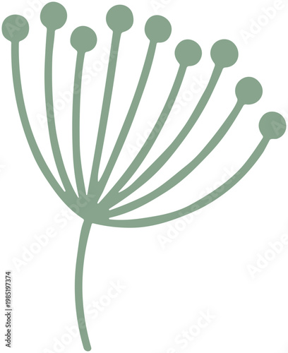 Delicate Dill Flower Silhouette, Minimalist Botanical Illustration, Isolated on White