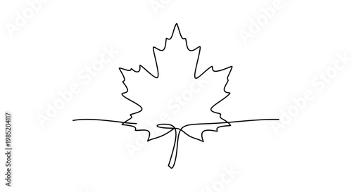 Minimalist Maple Leaf Outline Drawing, Single Line Art, Isolated on White