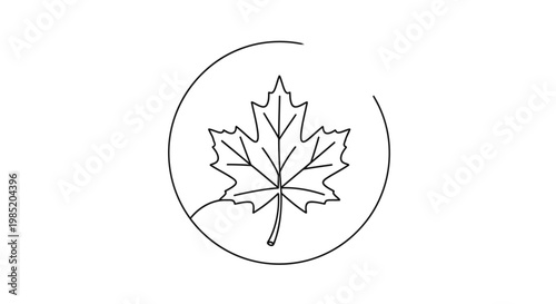 Minimalist Maple Leaf Icon Outline Inside Circle, Canadian Symbol, Nature Outline