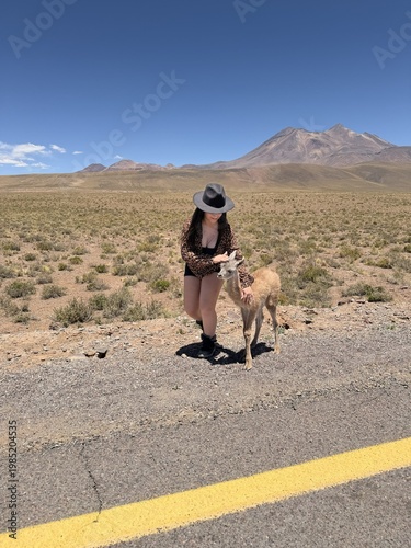 Photos Woman interacting with newborn guanaco in Atacama Desert, Chile, wildlife travel