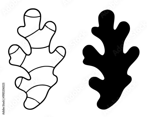 Ginger minimalist icon, outline and silhouette, for spice or medicinal design