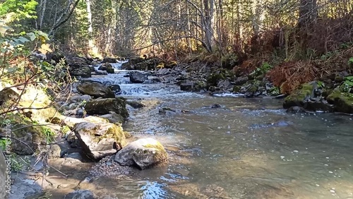 Photos A small beautiful stream with stones in the bed, flows through the morning autumn forest illuminated by the rays of the rising sun