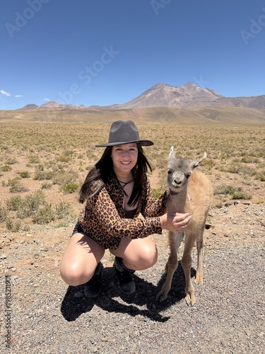 Photos Traveler with baby guanaco in Atacama Desert, wildlife and nature concept
