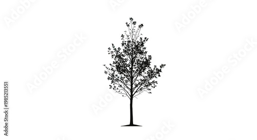 Single Tree Silhouette with Leaves Illustration.