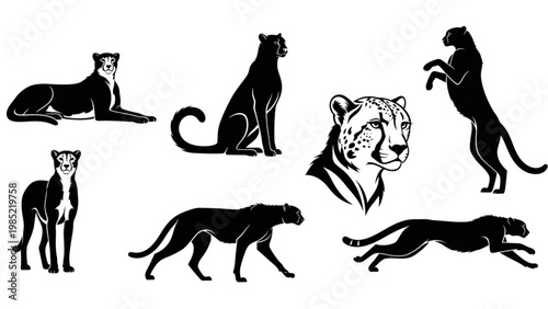 cheetah Collection of Black Silhouette Illustrations of Cheetahs in Various Poses