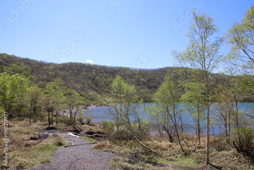 深緑の小沼（赤城）の風景。