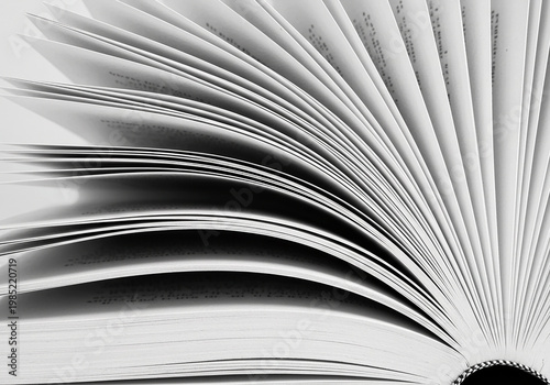 Open Book Pages