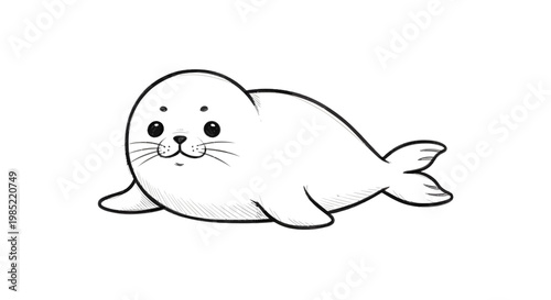 Cute cartoon seal pup drawing, simple line art, white background