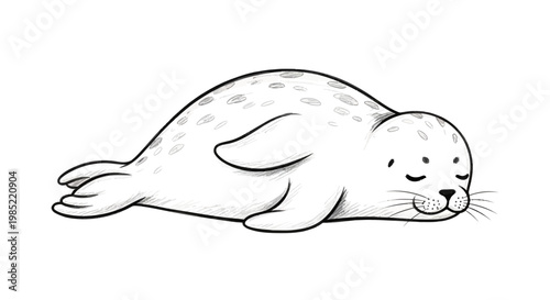 Cute sleeping seal pup illustration, hand-drawn style, white background