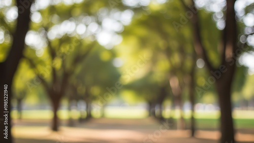 Blurred trees in a park.