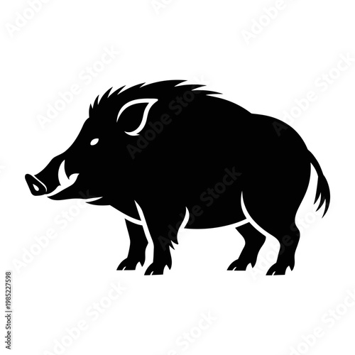 Powerful vector of a wild boar standing in profile with contours and sharp lines
