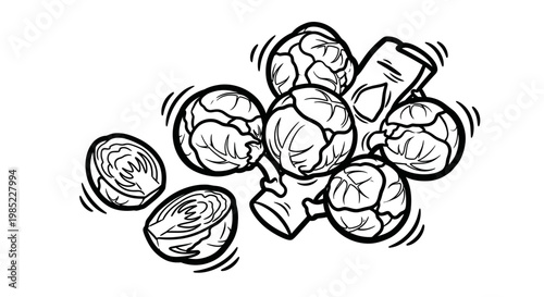 Hand-drawn illustration of fresh Brussels sprouts on a white background