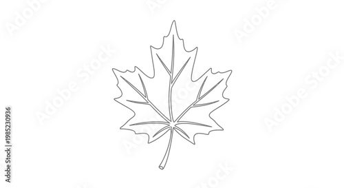 Maple Leaf Outline Icon - Simple Vector Illustration on White Background