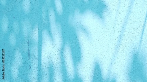 Shadow leaf background wall light blue overlay abstract plant 4k backdrop mockup minimal summer wallpaper, blur nature spring autumn video vintage branching floral, card holidays.