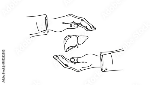 World Hepatitis Day Illustration of two hands carefully holding a liver, symbolizing organ donation and transplantation awareness