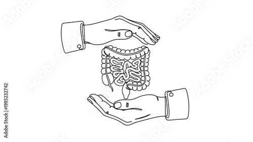 World Digestive Health Day Outline drawing of human hands gently cradling and protecting a healthy digestive system, symbolizing care and well-being for the gut