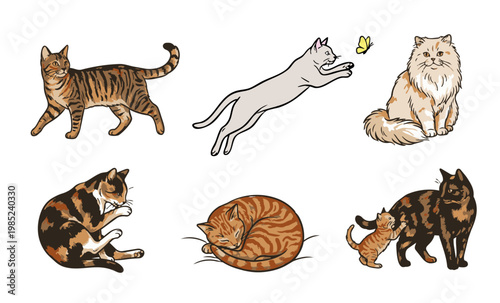 Cat line art set, various poses of cats illustration, minimal outline drawing, walking, jumping, sleeping, kitten, 猫線画イラストセット・ベクター・カラー