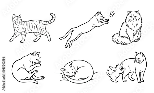 Cat line art set, various poses of cats illustration, minimal outline drawing, walking, jumping, sleeping, kitten, 猫線画イラストセット・ベクター