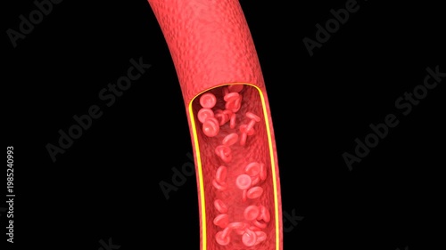 3D Blood Vessels | Alpha Channel