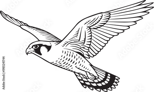 Majestic peregrine falcon soaring through the air with wings fully spread, detailed engraving woodcut style black and white vector illustration
