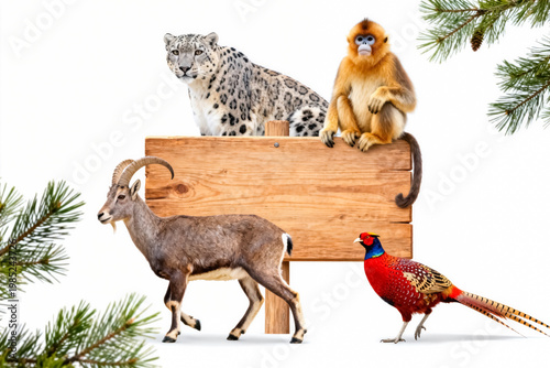 Wild Animals with Wooden Sign and Pine Branches