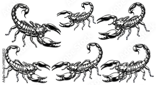 Scorpions Clipart: Black and White Graphic Illustrations